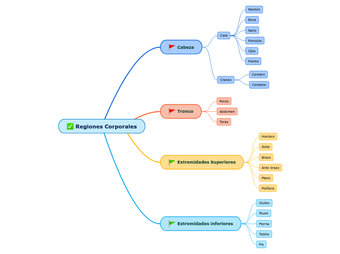 Regiones Corporales