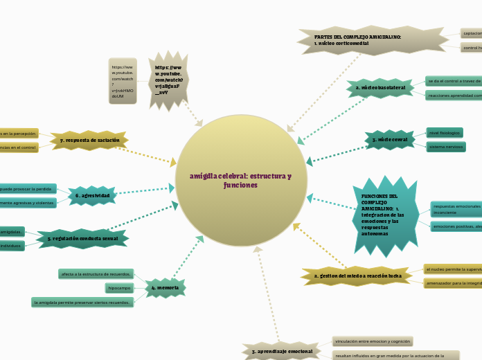 amígdla celebral: estructura y funciones 