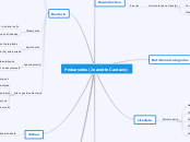 Prokaryotes