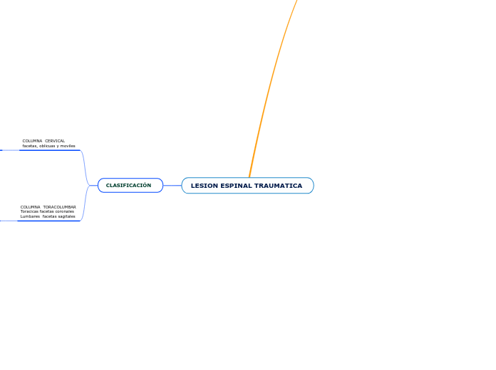 LESION ESPINAL TRAUMATICA 
