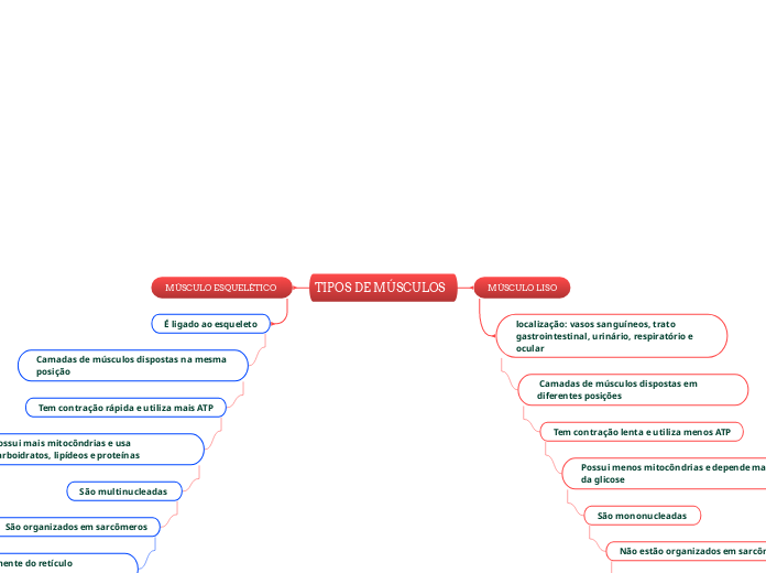 TIPOS DE MÚSCULOS