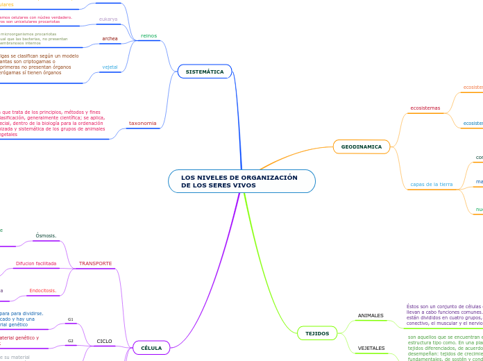 LOS NIVELES DE ORGANIZACIÓN DE LOS SERES VIVOS