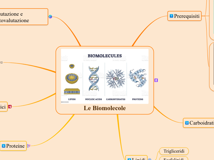 Le Biomolecole