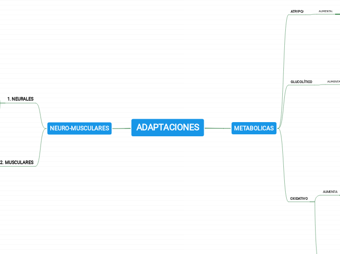 ADAPTACIONES