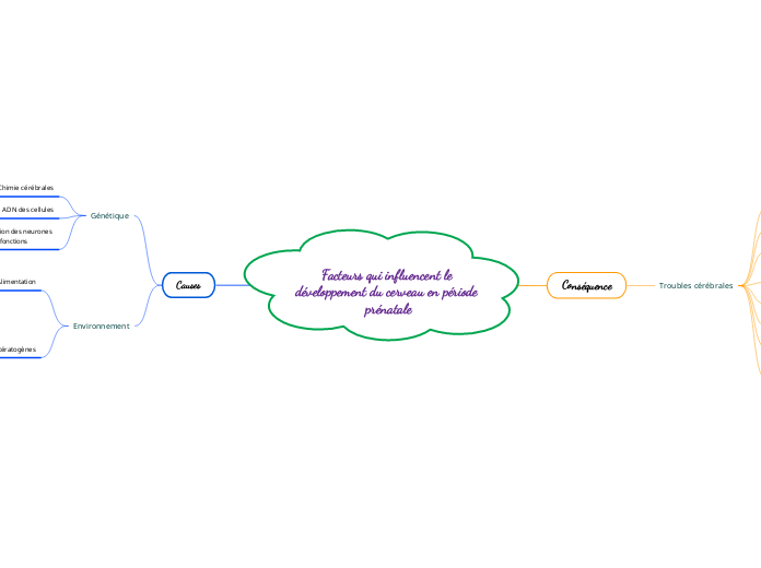 Facteurs qui influencent le développement du cerveau en période prénatale
