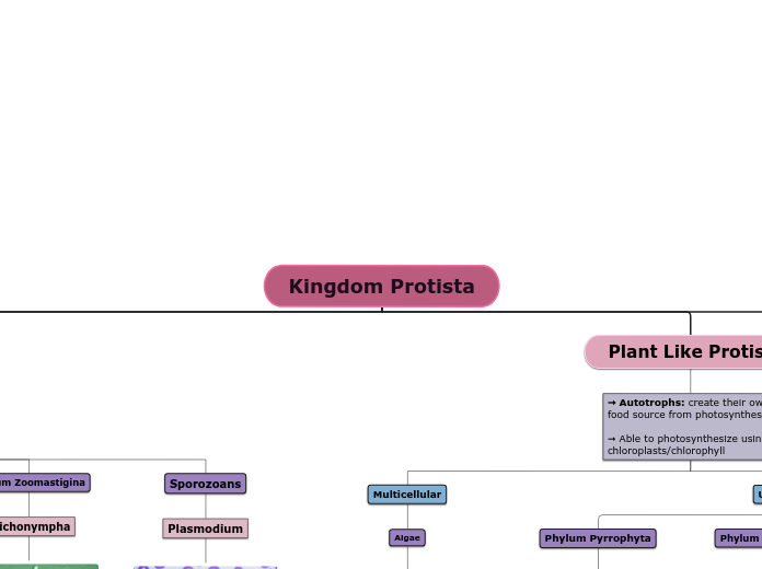 Kingdom Protista