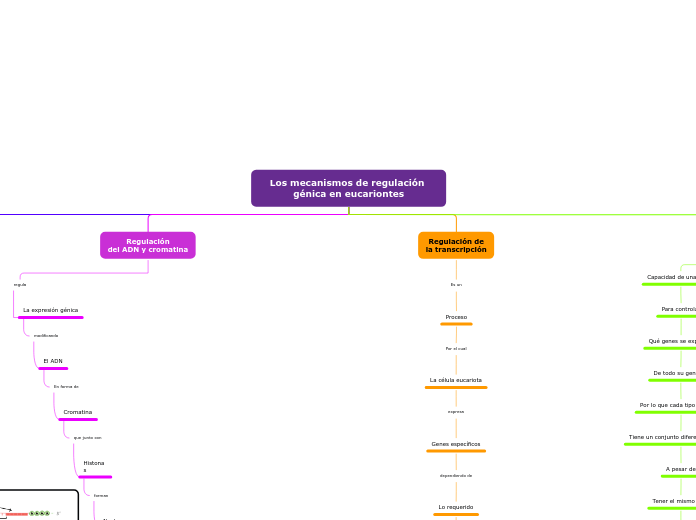 Los mecanismos de regulación génica en eucariontes