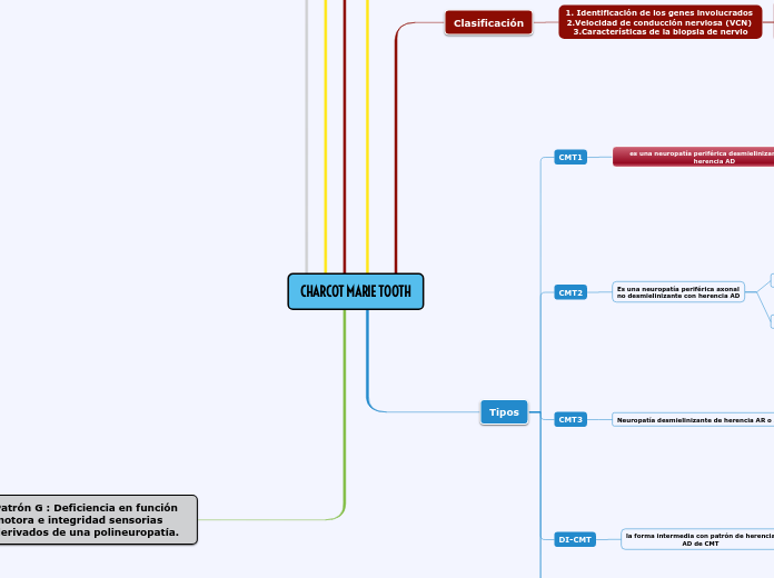 CHARCOT MARIE TOOTH
