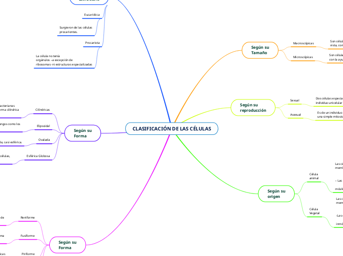 CLASIFICACIÓN DE LAS CÉLULAS
