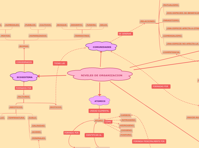 NIVELES DE ORGANIZACION