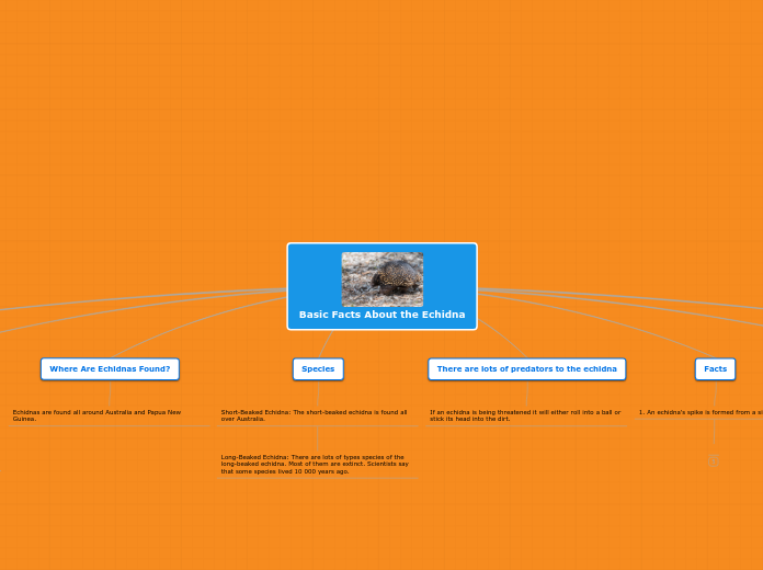 Basic Facts - Echidna
