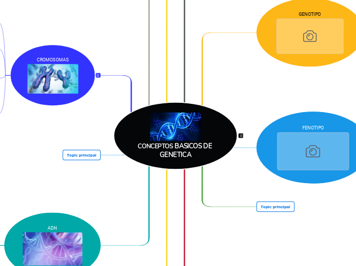 CONCEPTOS BASICOS DE GENETICA