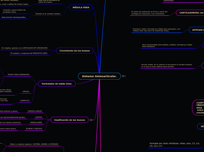 Sistema Osteoarticular.