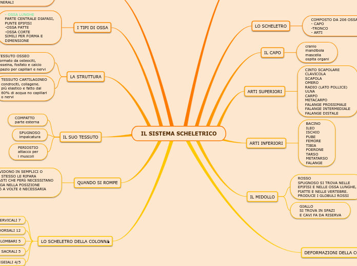 IL SISTEMA SCHELETRICO