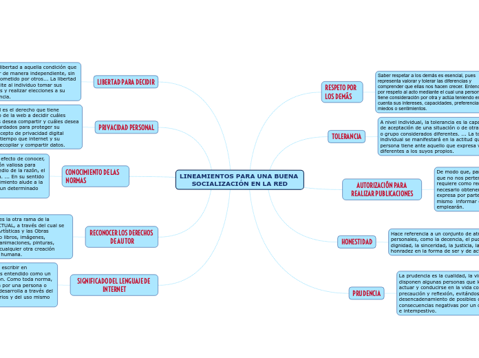 LINEAMIENTOS PARA UNA BUENA SOCIALIZACIÓN EN LA RED