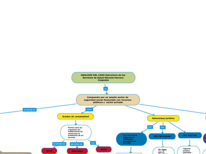 ANALISIS DEL CASO-Estructura de los Servicios de Salud-Marcela Herrera Cespedes