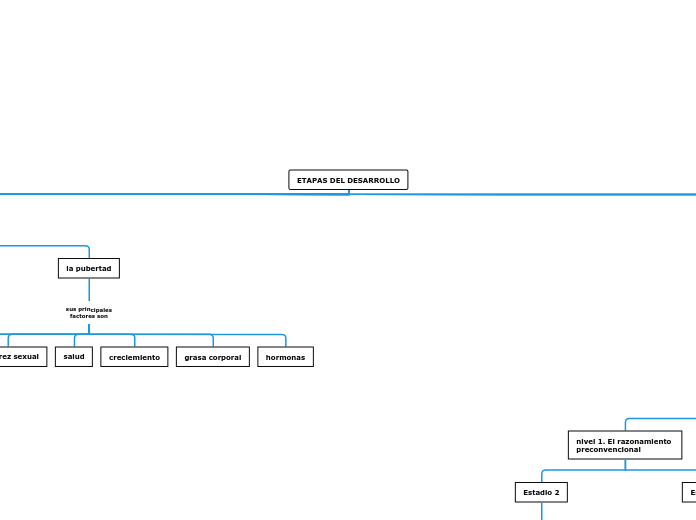 ETAPAS DEL DESARROLLO