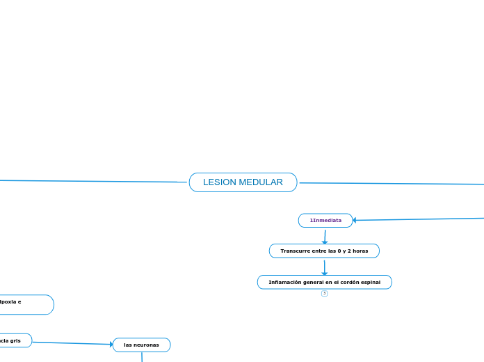 LESION MEDULAR