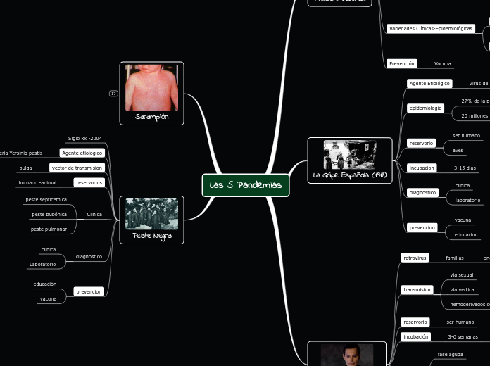 Las 5 Pandemias
