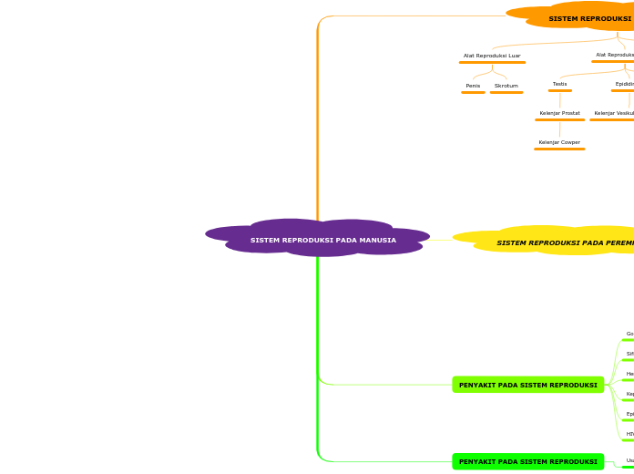 SISTEM REPRODUKSI PADA MANUSIA