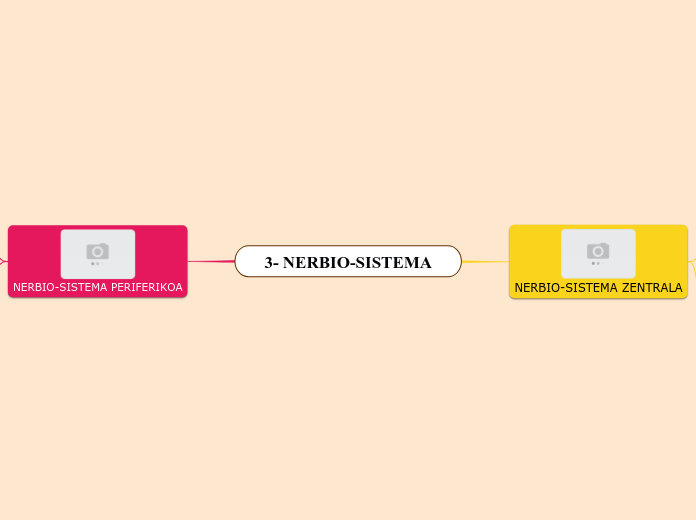 3- NERBIO-SISTEMA