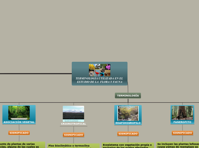 metodologia de flora y fauna