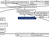 Caso neonatal