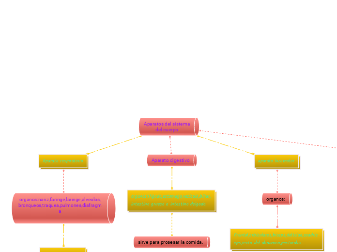 Aparatos del sistema
del cuerpo