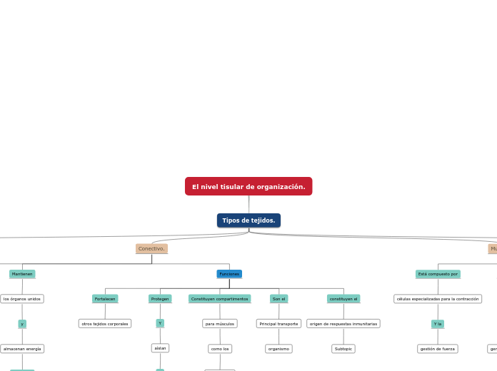 El nivel tisular de organización.