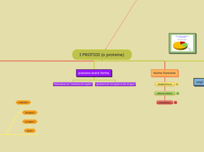 I PROTIDI (o proteine)