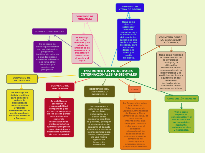 INSTRUMENTOS PRINCIPALES INTERNACIONALES AMBIENTALES