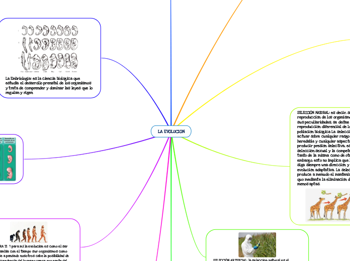 LA EVOLUCION