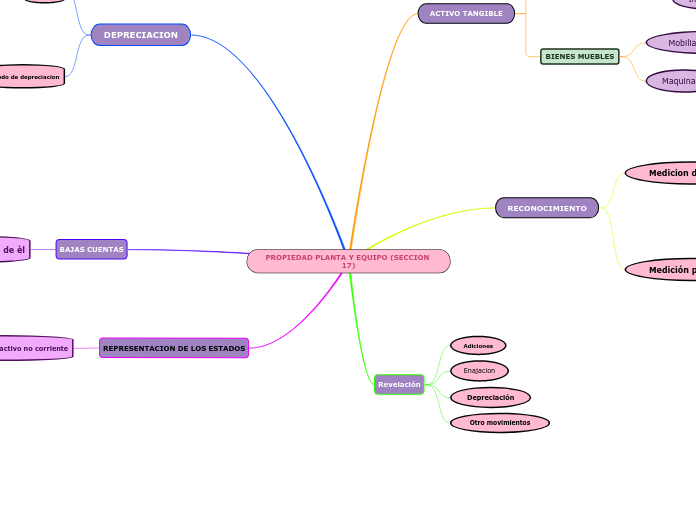 PROPIEDAD PLANTA Y EQUIPO (SECCION 17)