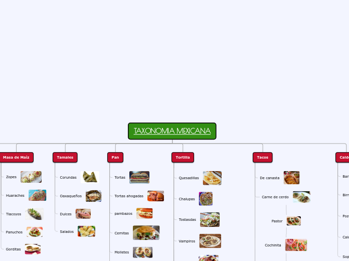 TAXONOMIA MEXICANA (1)