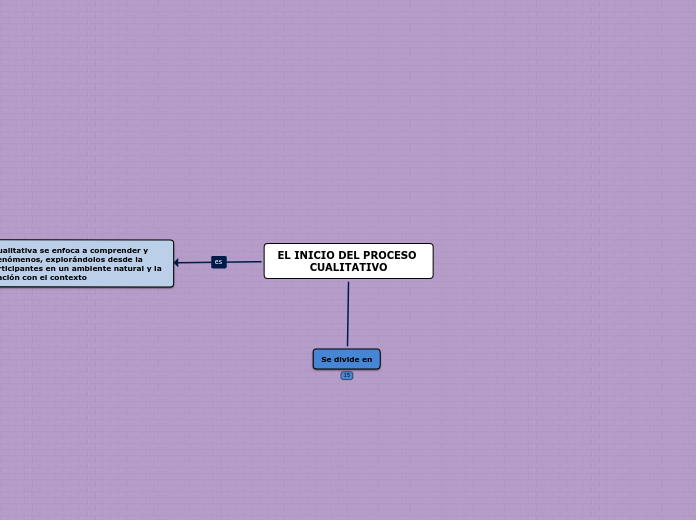 EL INICIO DEL PROCESO CUALITATIVO