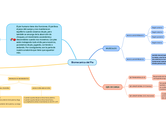 Biomecanica del Pie