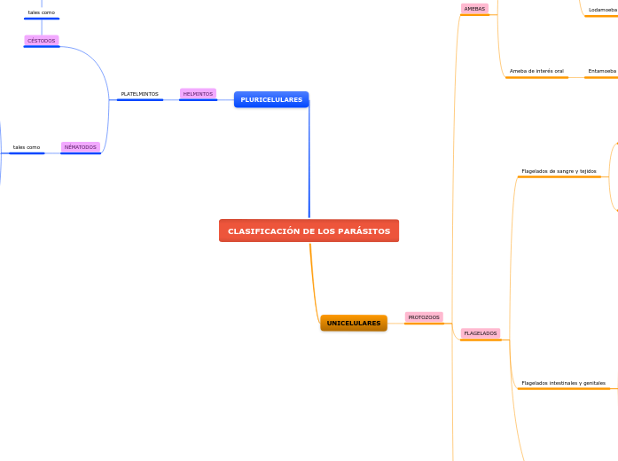 CLASIFICACIÓN DE LOS PARÁSITOS
