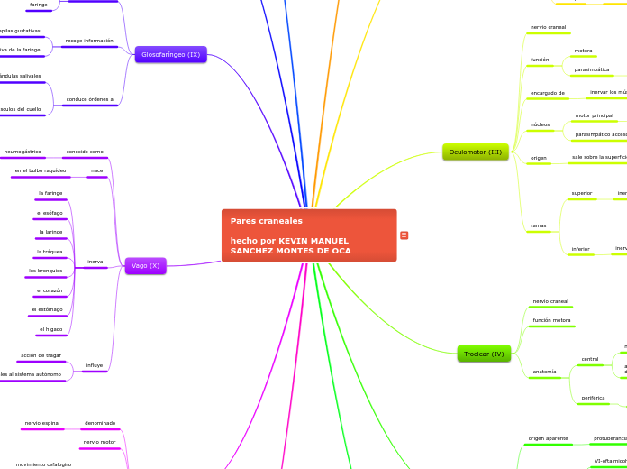 Pares craneales

hecho por KEVIN MANUEL SANCHEZ MONTES DE OCA