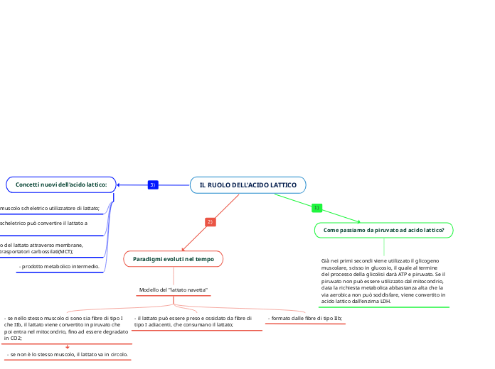 IL RUOLO DELL'ACIDO LATTICO