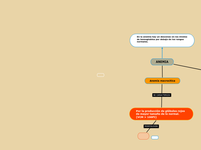 Mapa Concepual