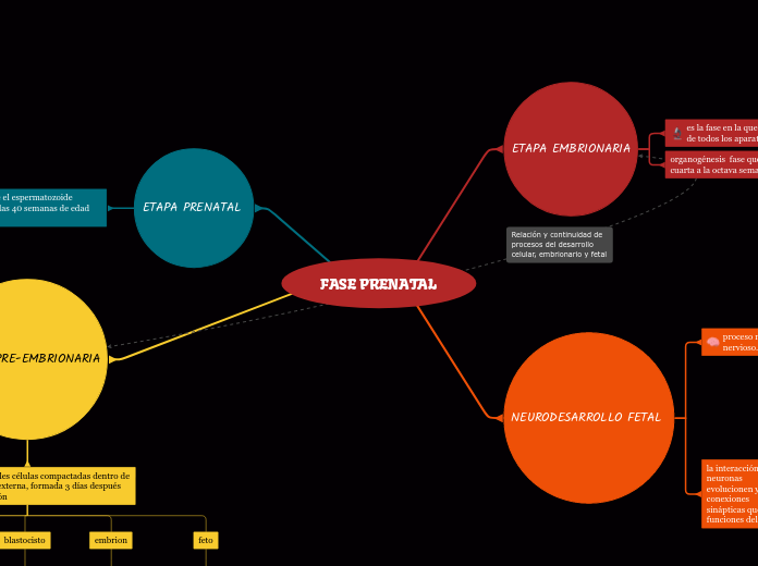 FASE PRENATAL