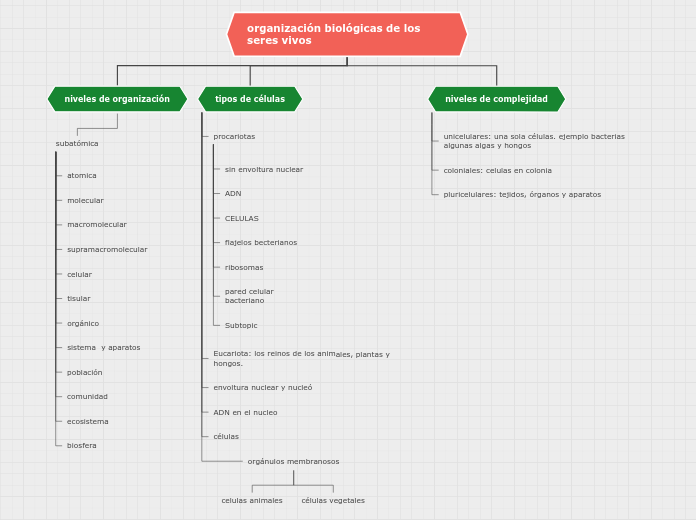 Organigrama arbol