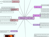 PREGNANCY STAGES