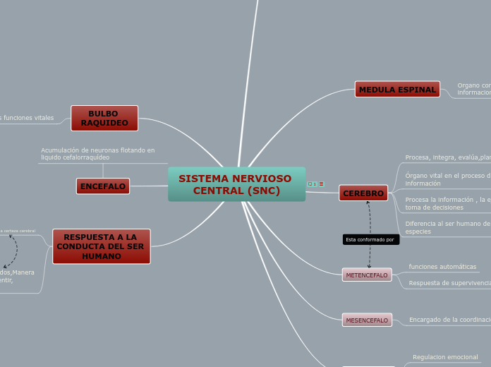 SISTEMA NERVIOSO CENTRAL (SNC)