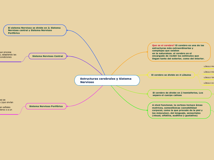 Estructuras cerebrales y Sistema Nervioso