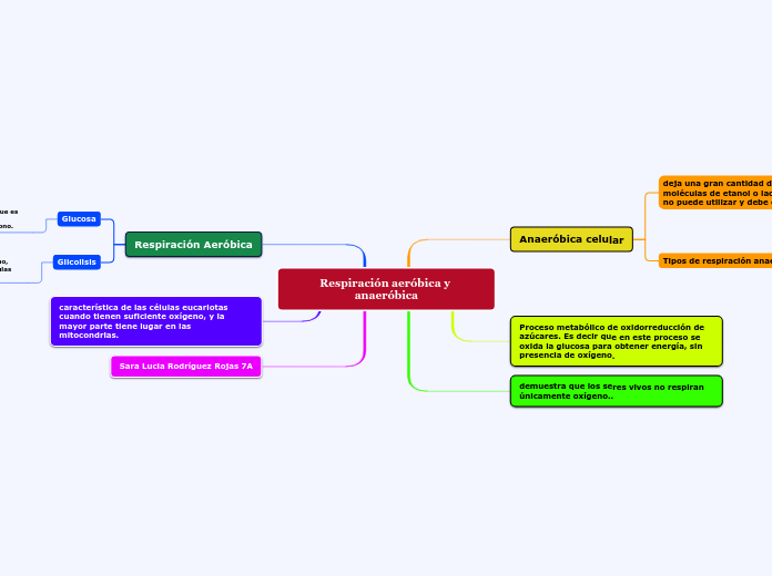 Respiración aeróbica y anaeróbica