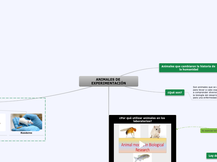 ANIMALES DE EXPERIMENTACIÓN