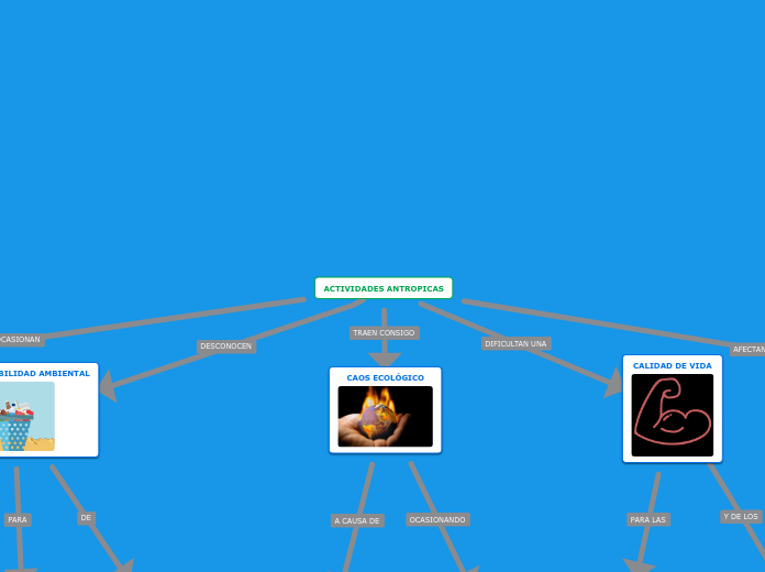ACTIVIDADES ANTROPICAS
