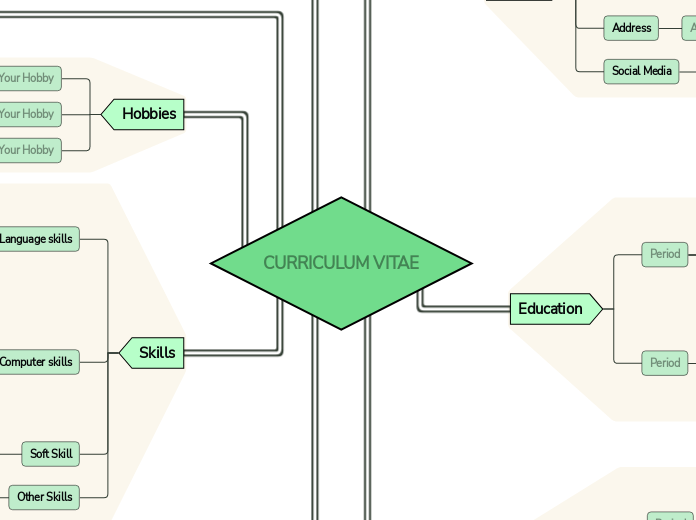 Curriculum Vitae