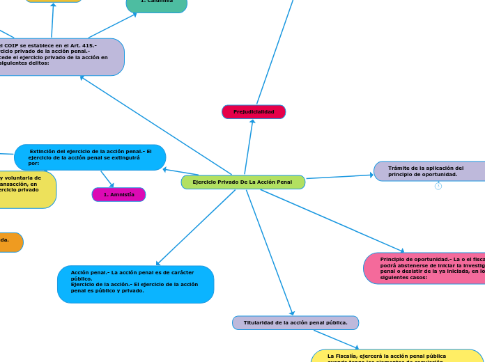 Ejercicio Privado De La Acción Penal 